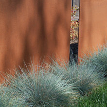 Court Yard Wall