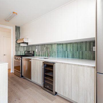 Full Apartment Renovation
