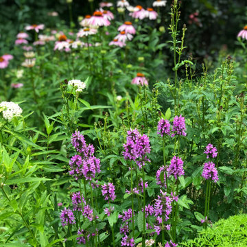 Mixed Planting Border