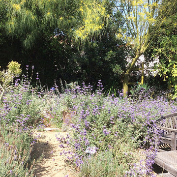 2017 Native Plant Garden Tour