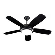 ceiling fans
