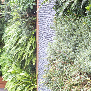 Rooftop Gardens