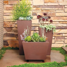 potted plants