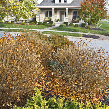 Carriage Homes Community and Floor Plan