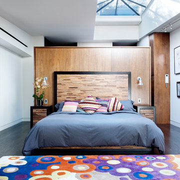 TriBeCa Penthouse
