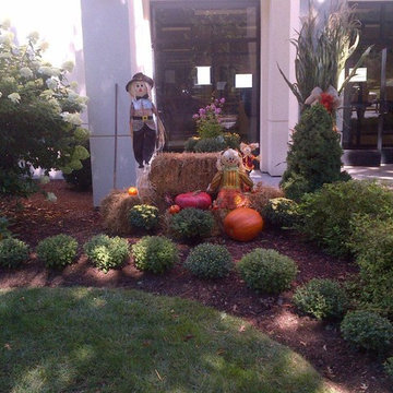 Fall Decor
