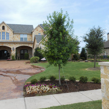 Evergreen Trees & ShrubsE