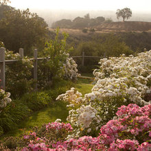 landscaping/gardening