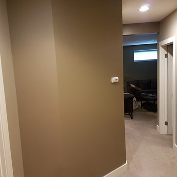 Winnipeg Main Floor/Basement Paint