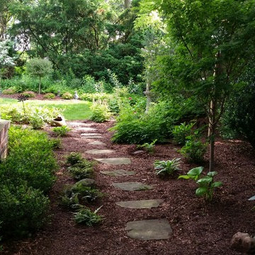 A Shady Retreat