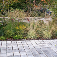 Rain Garden