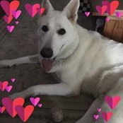 Michele VanderZouwen's photo