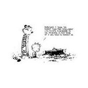 Shayne Nilsson's photo