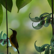 blueskies60's photo