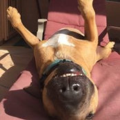 Scott Hanson's photo
