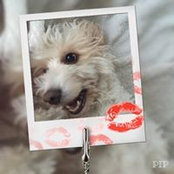 Heather Hardy's photo