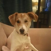 Natalie Shafer-Cahill's photo