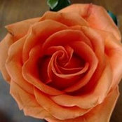 Catherine Wehmhoefer's photo
