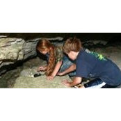 Audra Hanner-Bastie's photo