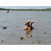 Michelle Dauch's photo