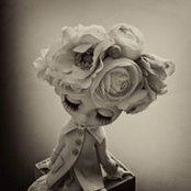 Foto von Michele Melville