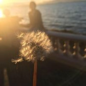 Mengchen Xie's photo