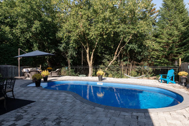 Diseño de piscina moderna de tamaño medio tipo riñón en patio trasero con paisajismo de piscina y adoquines de hormigón
