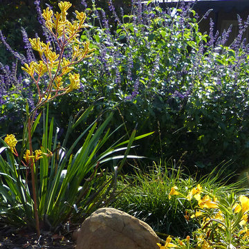 Pollinators Paradise