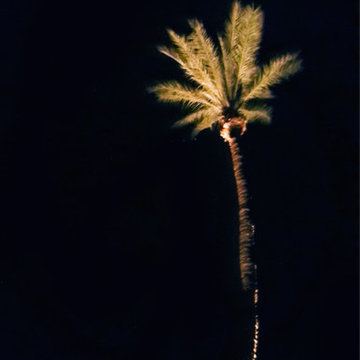 Landscape Lighting