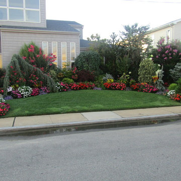 Landscape Designs