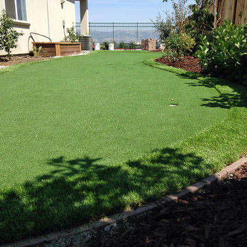 Global Syn-Turf artificial grass in Fresno, CA 4