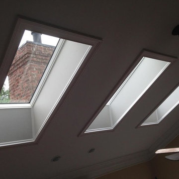 New Cut Skylight Project