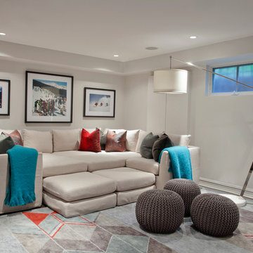 Contemporary Basement