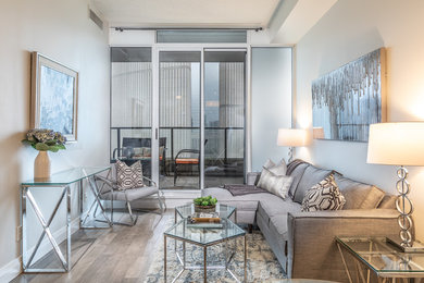 Inspiration for a contemporary living room remodel in Toronto