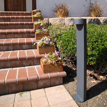 Home & Garden Collection