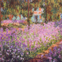 mila_cebrian's ideas