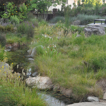 Meadow Stream