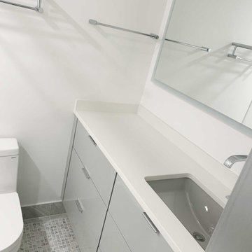 Crystal City High-Rise Bathroom Remodel