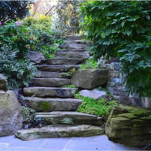 Glenda Landscaping Notes