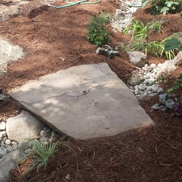 Pet-Char Stormwater Solution