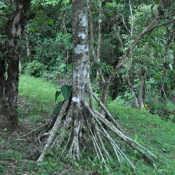 Costa Rica Travel