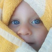 Srdjan Donevski's photo