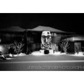 Holly Levines foto
