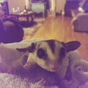 Alina Adams's photo