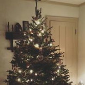 Karen McGee's photo