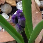 Sally Plourde's photo