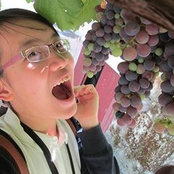 Nguyen Ans foto