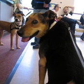 Harriet Zucker's photo