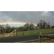 Lisa Cochrane's photo