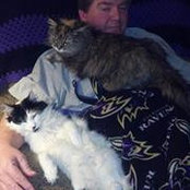 Tim Llewellyn's photo